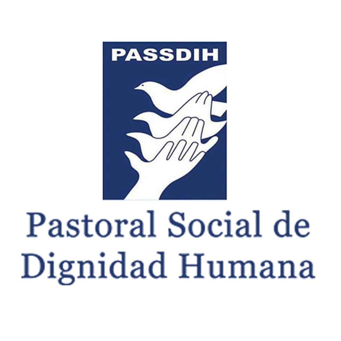 PASTORAL SOCIAL DE DIGNIDAD HUMANA